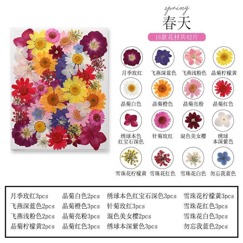 مجموعة علامات الكتب من الزهور  - مراجعة Dried Flower Bookmark وسعره